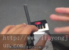 黑魔鬼代购网巨刺竹节虫