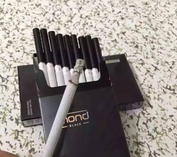 奥丹姆稀有骆驼