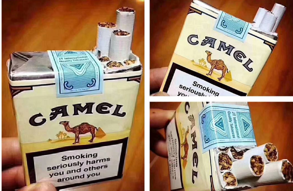 宝贝乖女肉欲最新章节