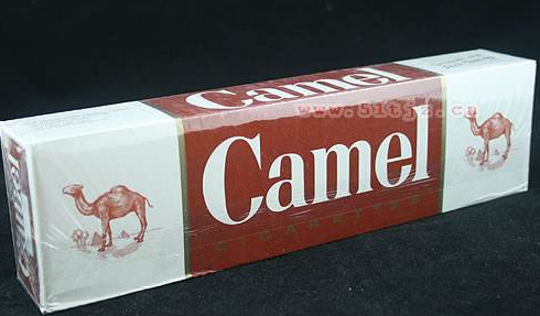 20岁中国男同志china1069