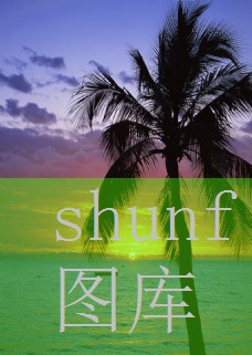 台湾外烟代购(台湾香烟代购)