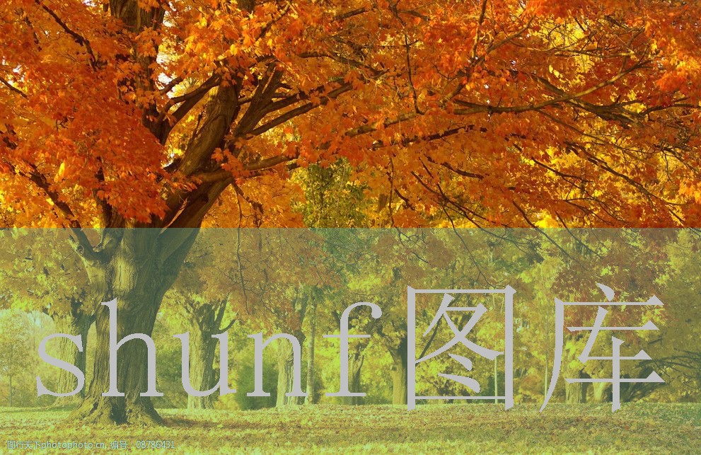 火锅粉丝盒装多少钱一包?