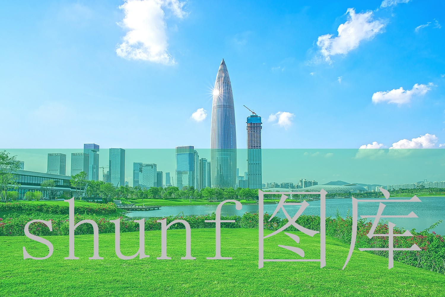 生鸡翅尖一包多少钱?