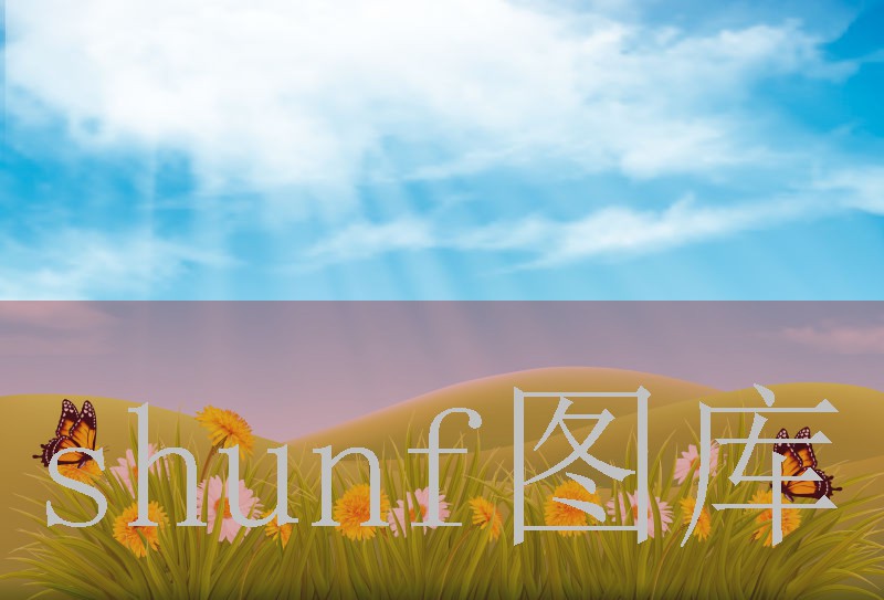 泰山江军多少钱一包?