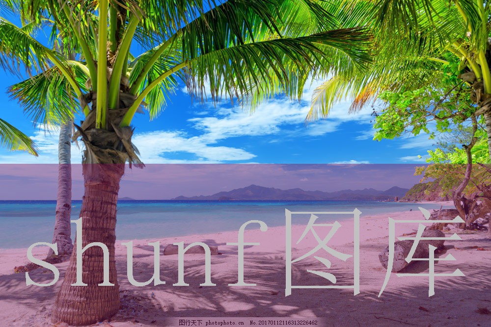 杨爱琴四胞胎现在怎么样