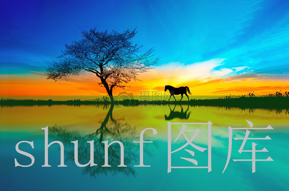 曙光计划多少钱一包?