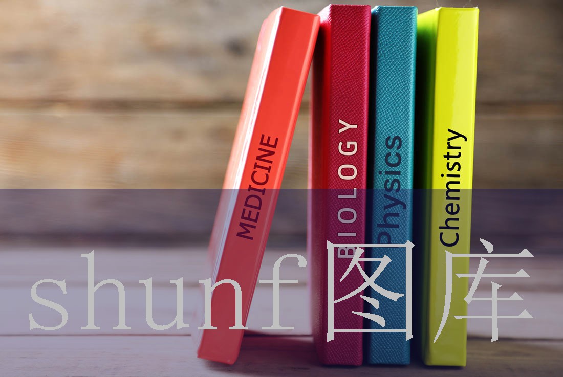 新月恬静广场舞