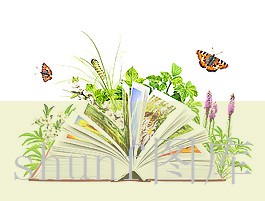 海外烟草代购骗局曝光(海外烟草代购骗局曝光案例)