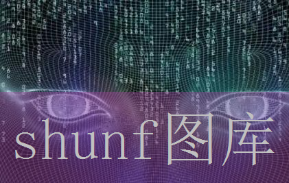 枫香多少钱一包?