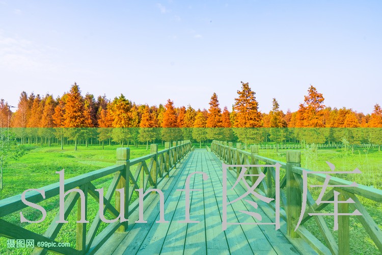 蓝漂一包多少钱染发?