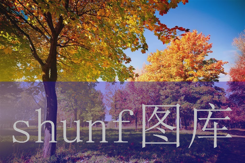 外烟代购官网首页(外烟代购官网首页)