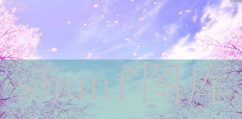 财运猫多少钱一包?