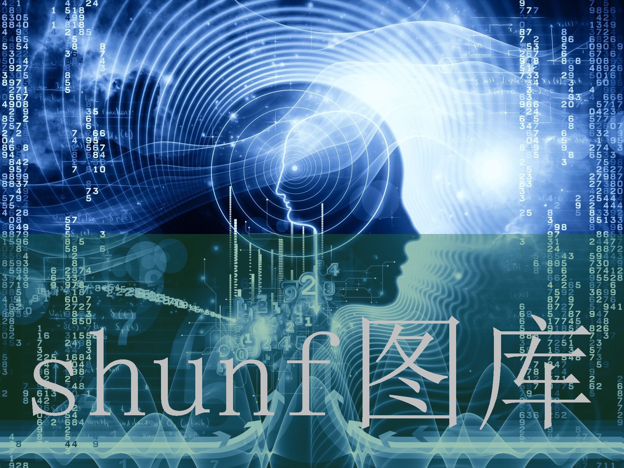 细嘴蓝红梅多少钱一包?