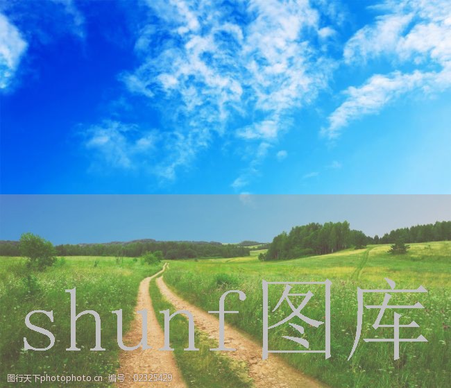 菇虫净多少钱一包?