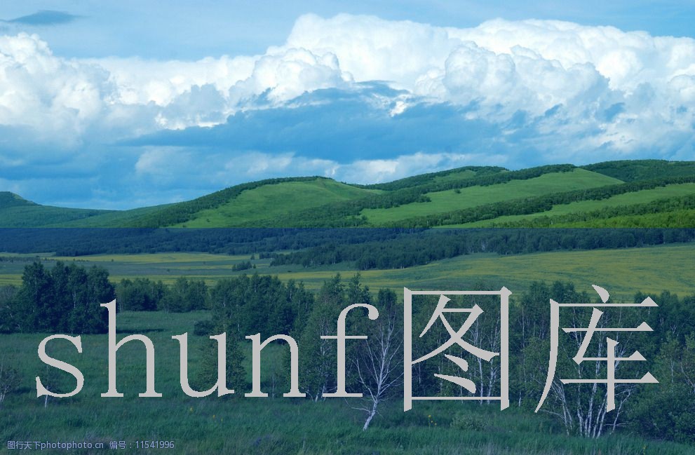 黑烟多少钱一包?