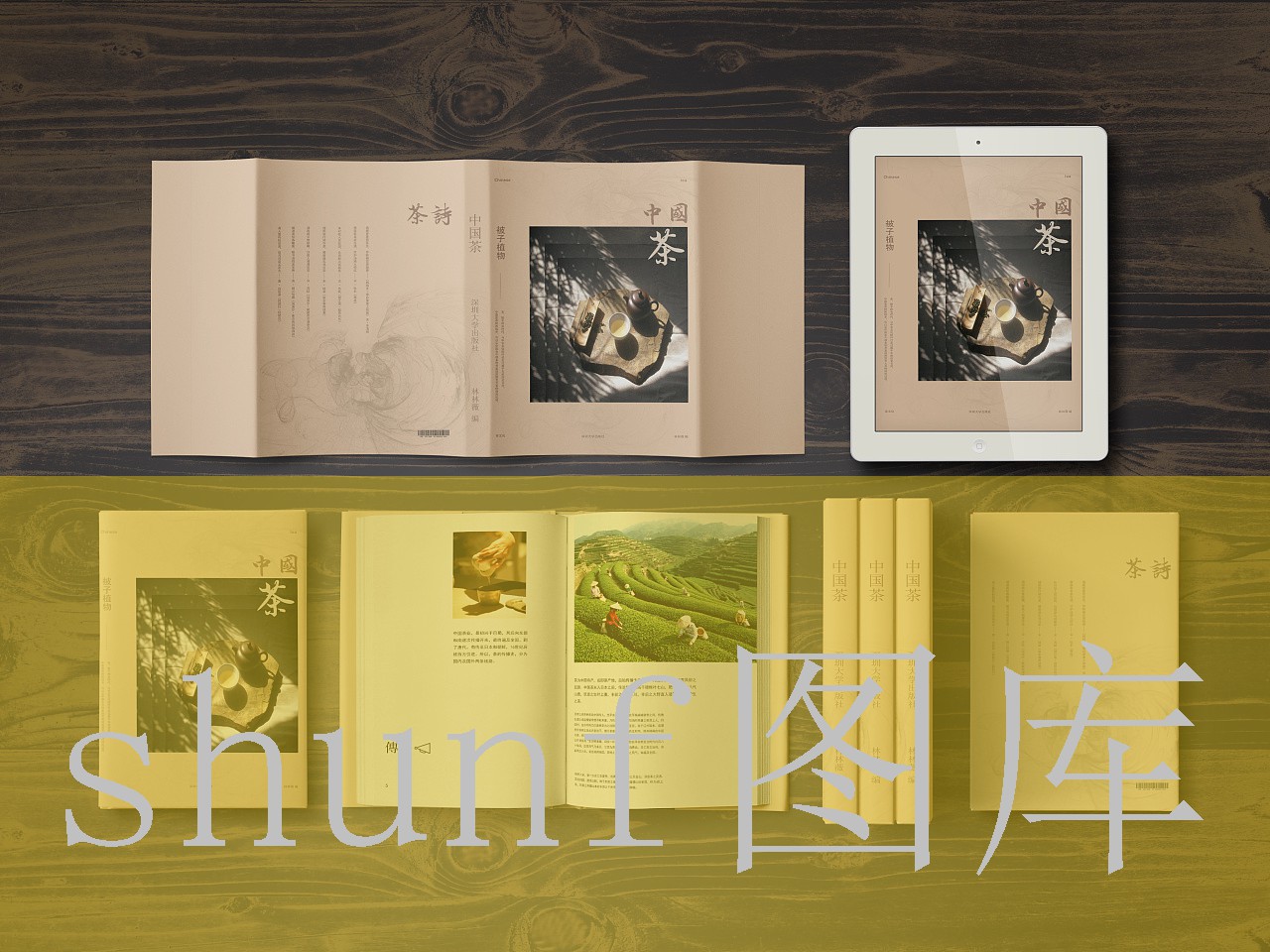 山水组合个人资料