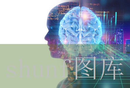 冻龙虾尾一包多少钱?