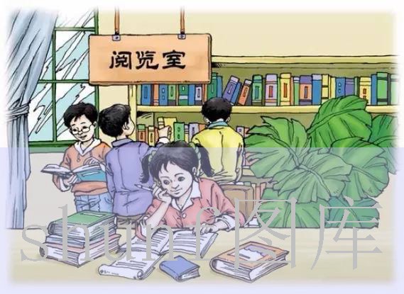 高黎贡山普洱茶