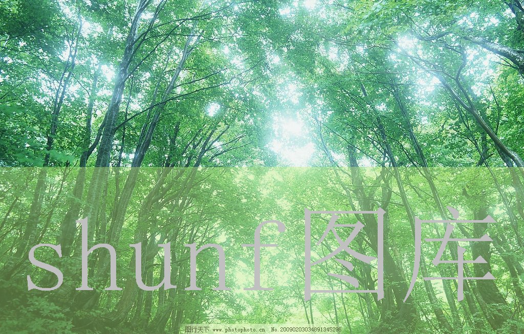 女人被躁到高潮嗷嗷叫文