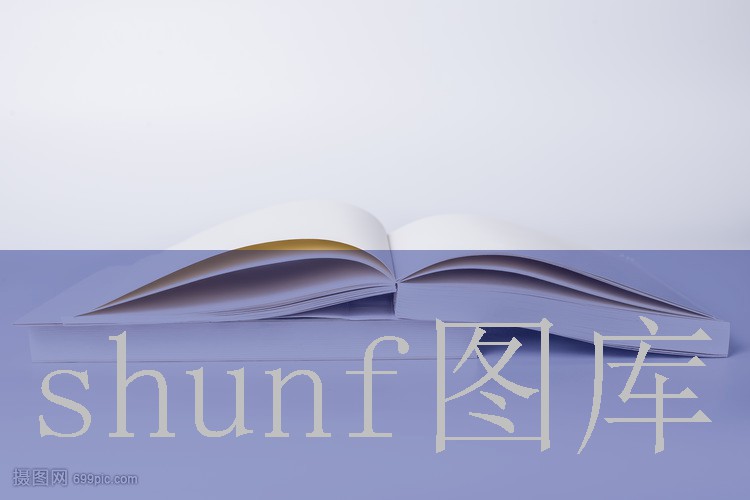 大饼十万美金多少钱一包?