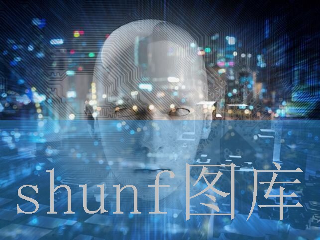 小布荷花多少钱一包?