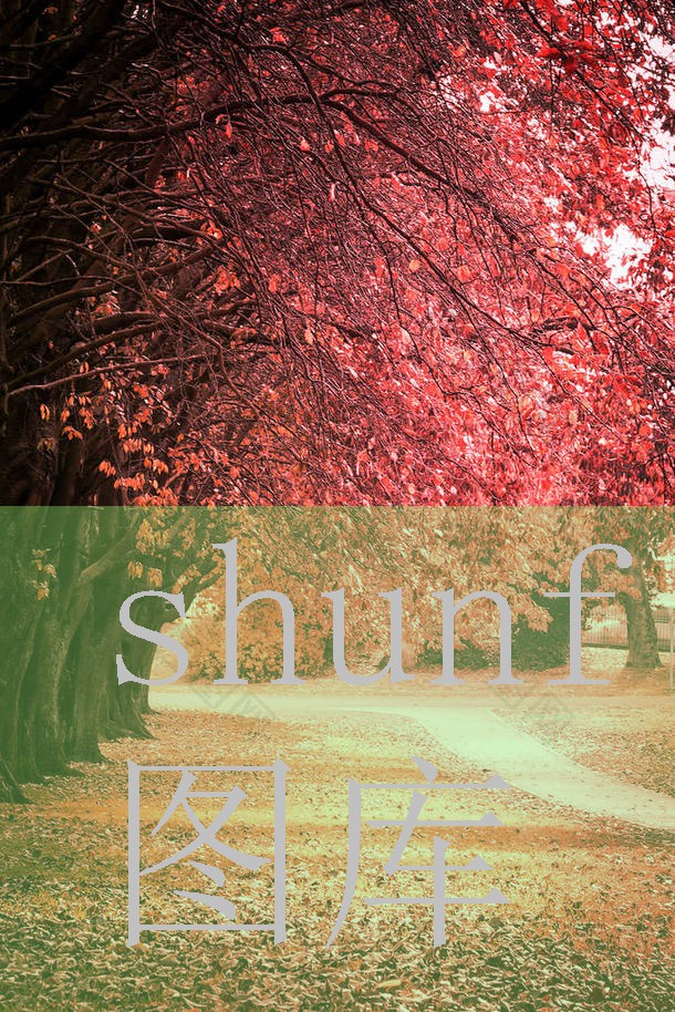 中华经典值多少钱一包?