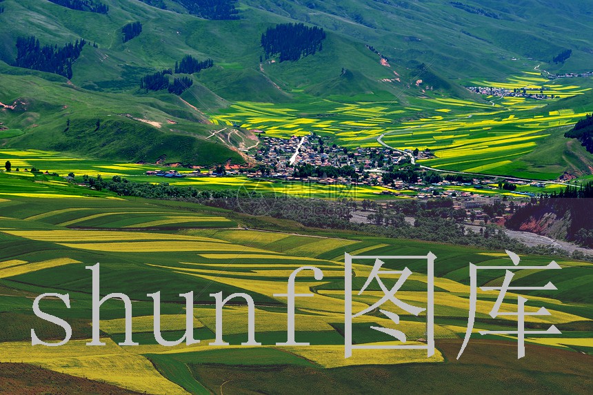 灰燕多少钱一包?