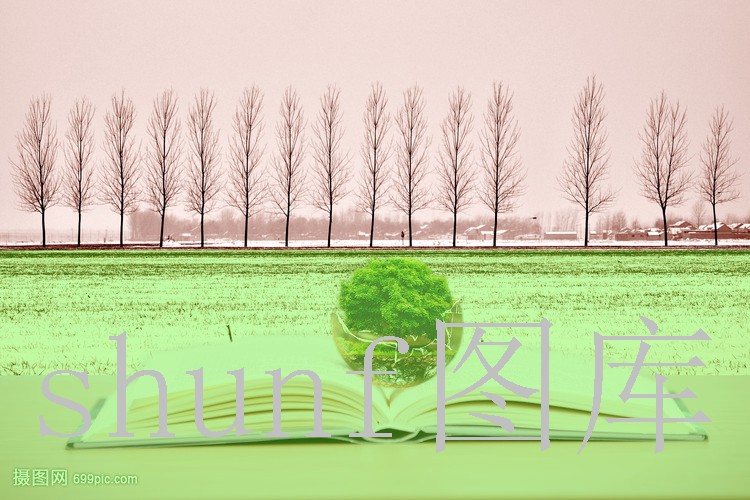 外烟代购渠道分析怎么写(外烟代购渠道分析怎么写范文)