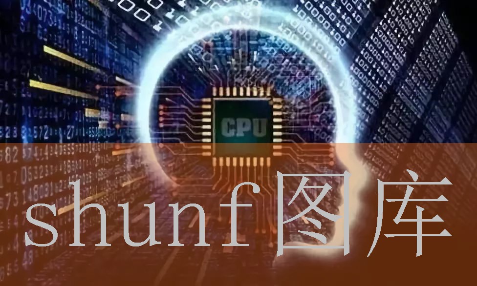 大牌保龄球包多少钱一包?