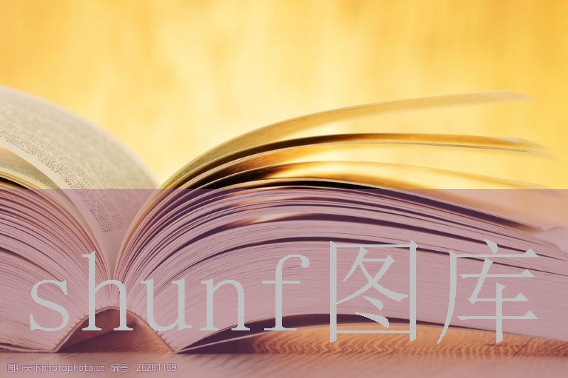 5包荷花多少钱一包图片?