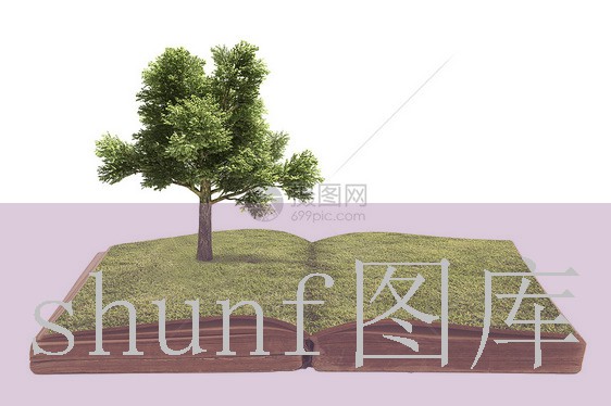 临清羊肠汤多少钱一包?