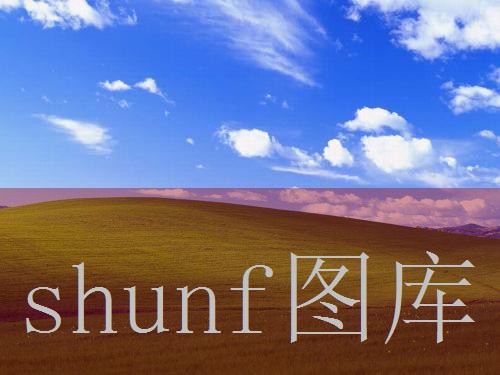 一元纸多少钱一包?