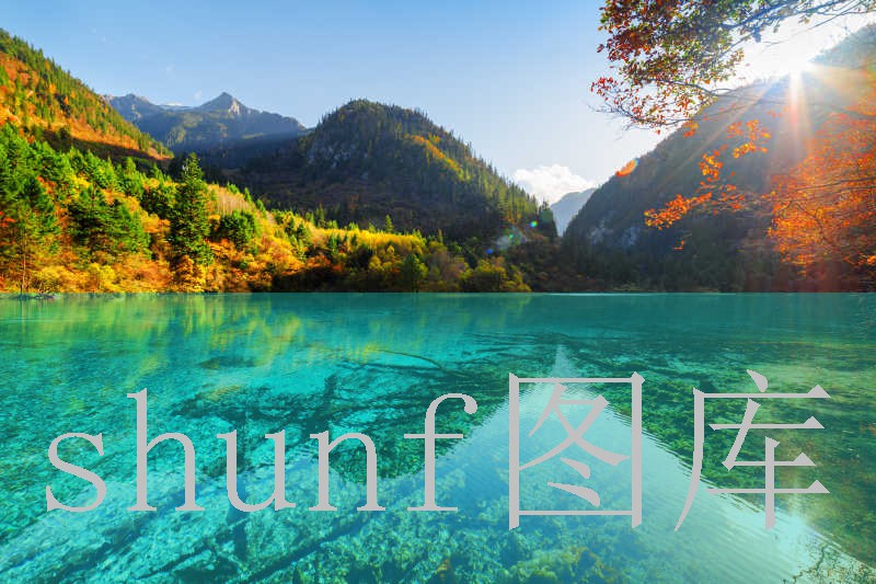 柔树烟多少钱一包?