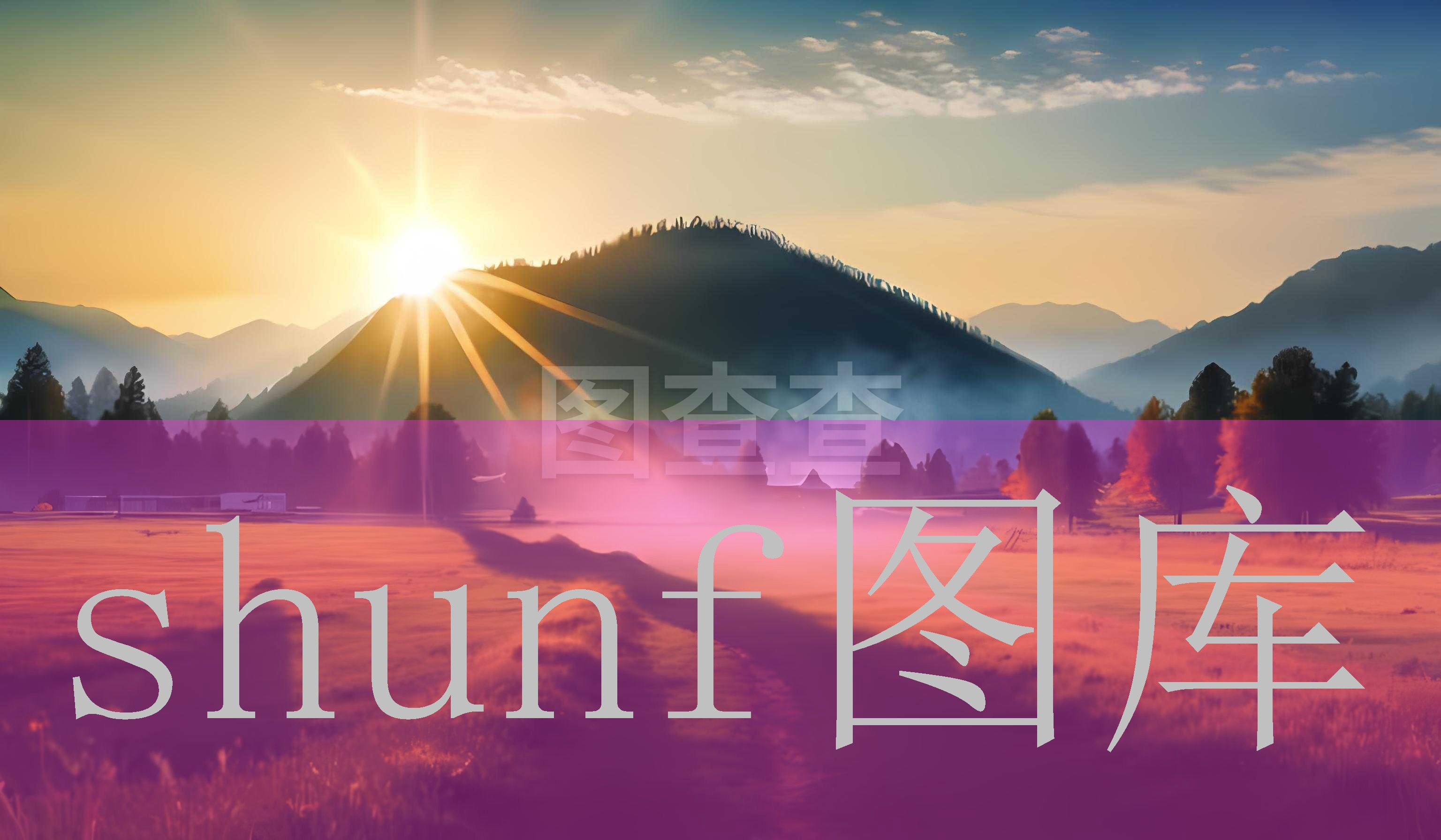 多少钱一包黑豆豆浆?