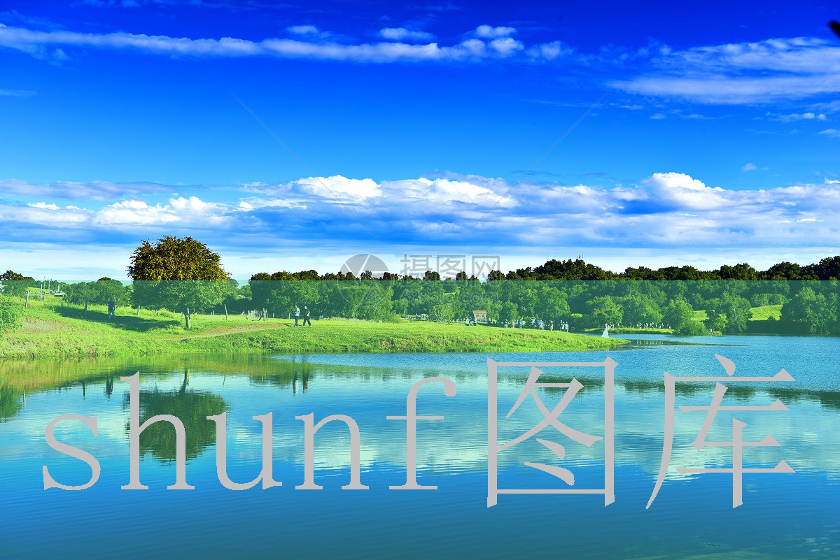 5包荷花多少钱一包图片?