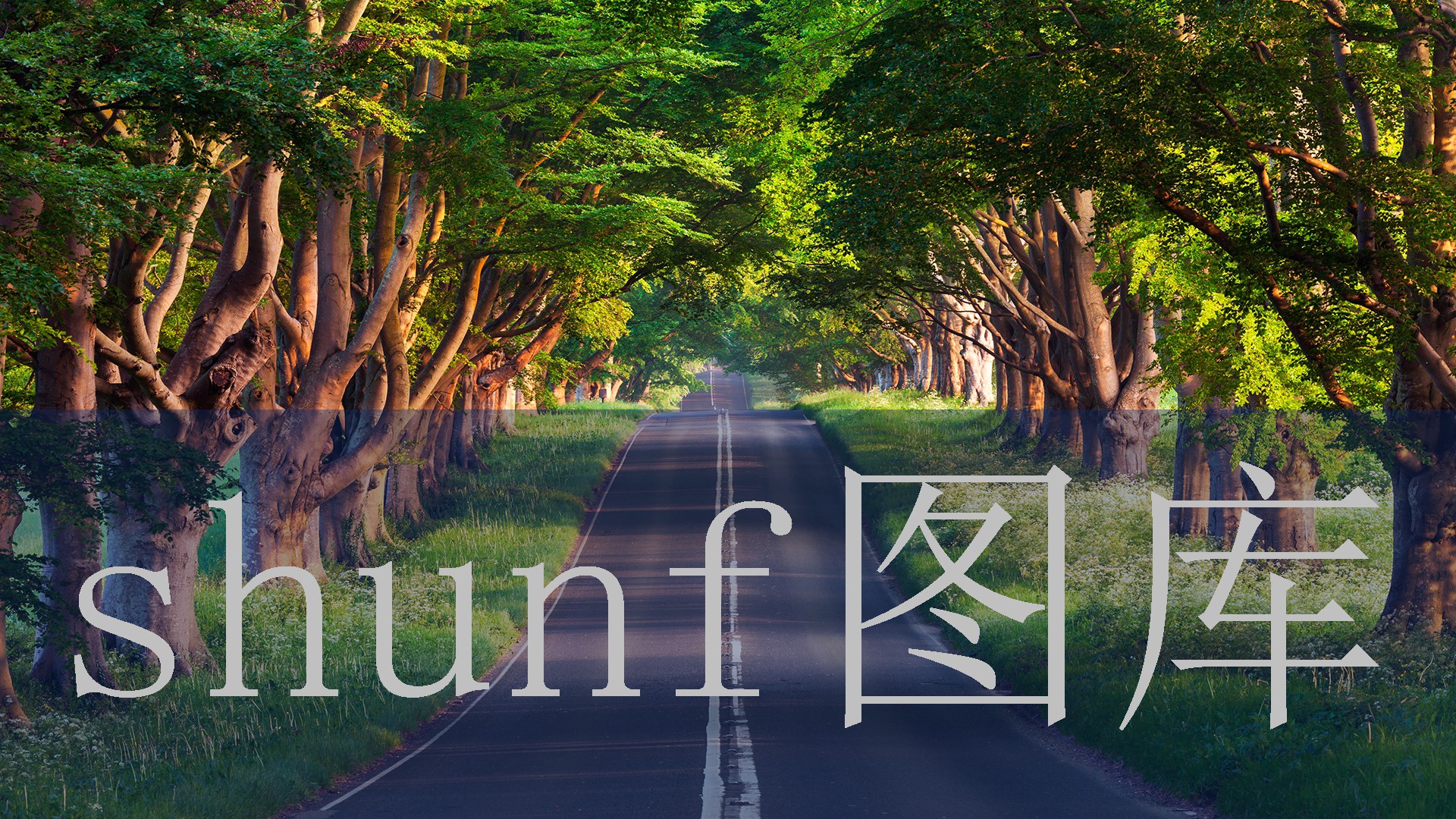 奇迹第二弹多少钱一包?