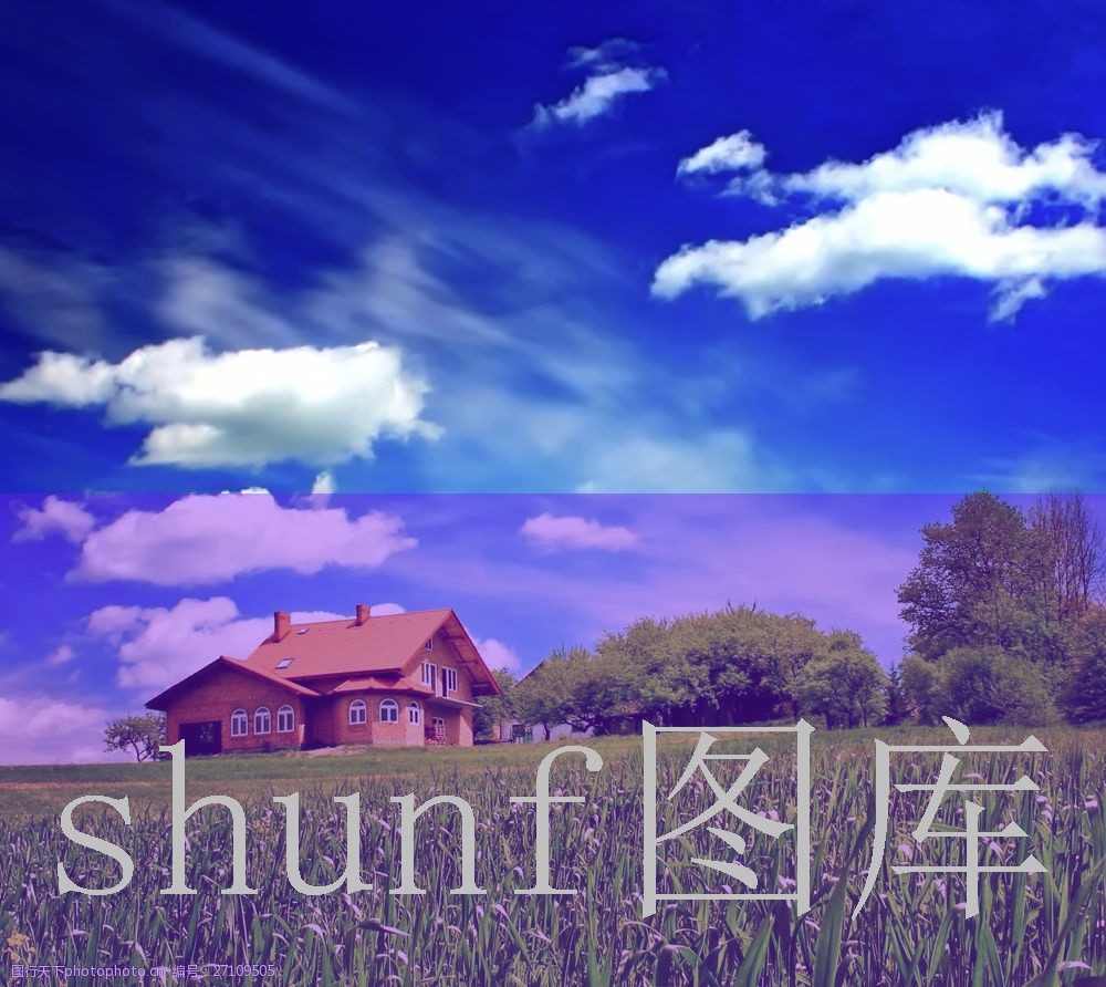 最贵的牛奶多少钱一包?