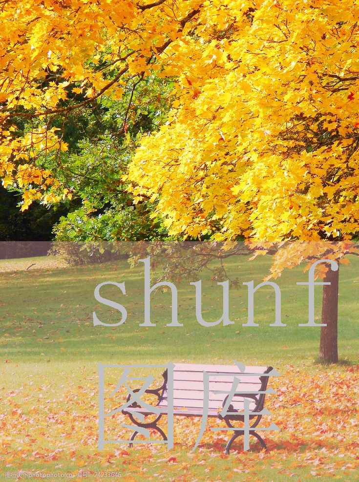 情侣房交椅使用方法图片