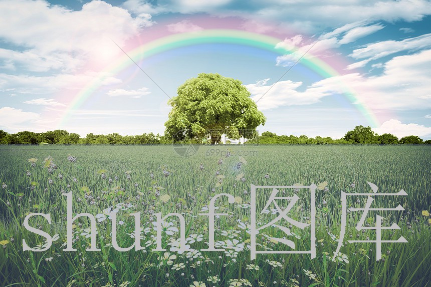 细根玉溪多少钱一包?