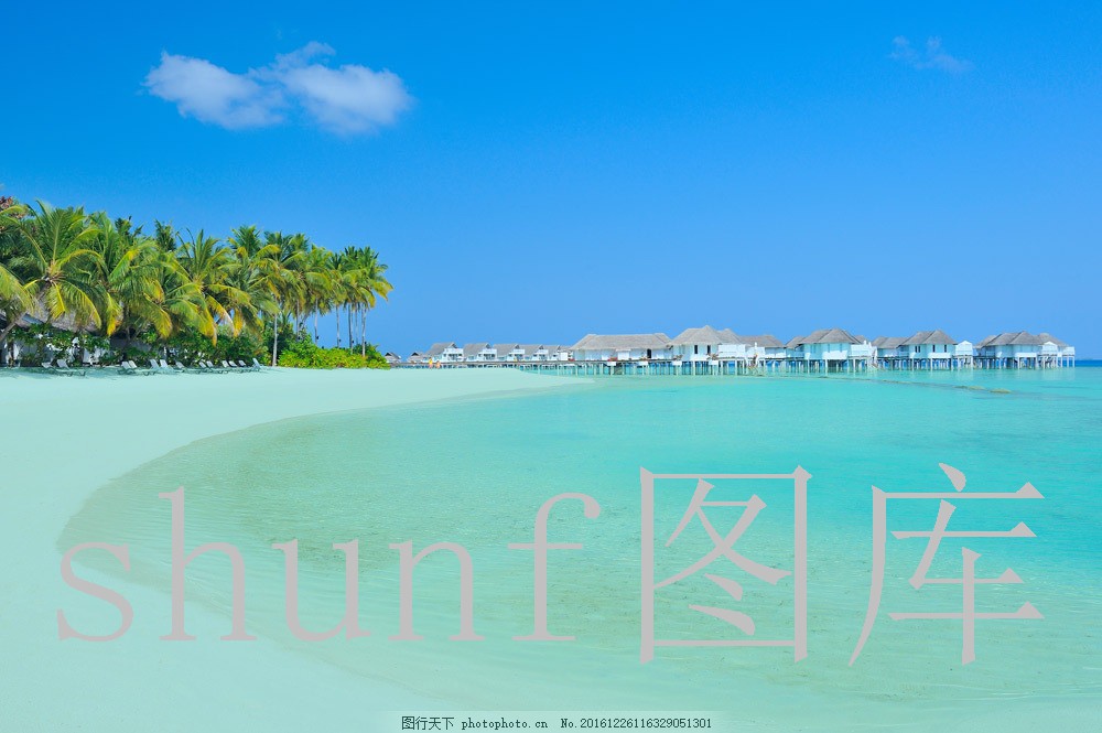 猪用饲料多少钱一包价格?