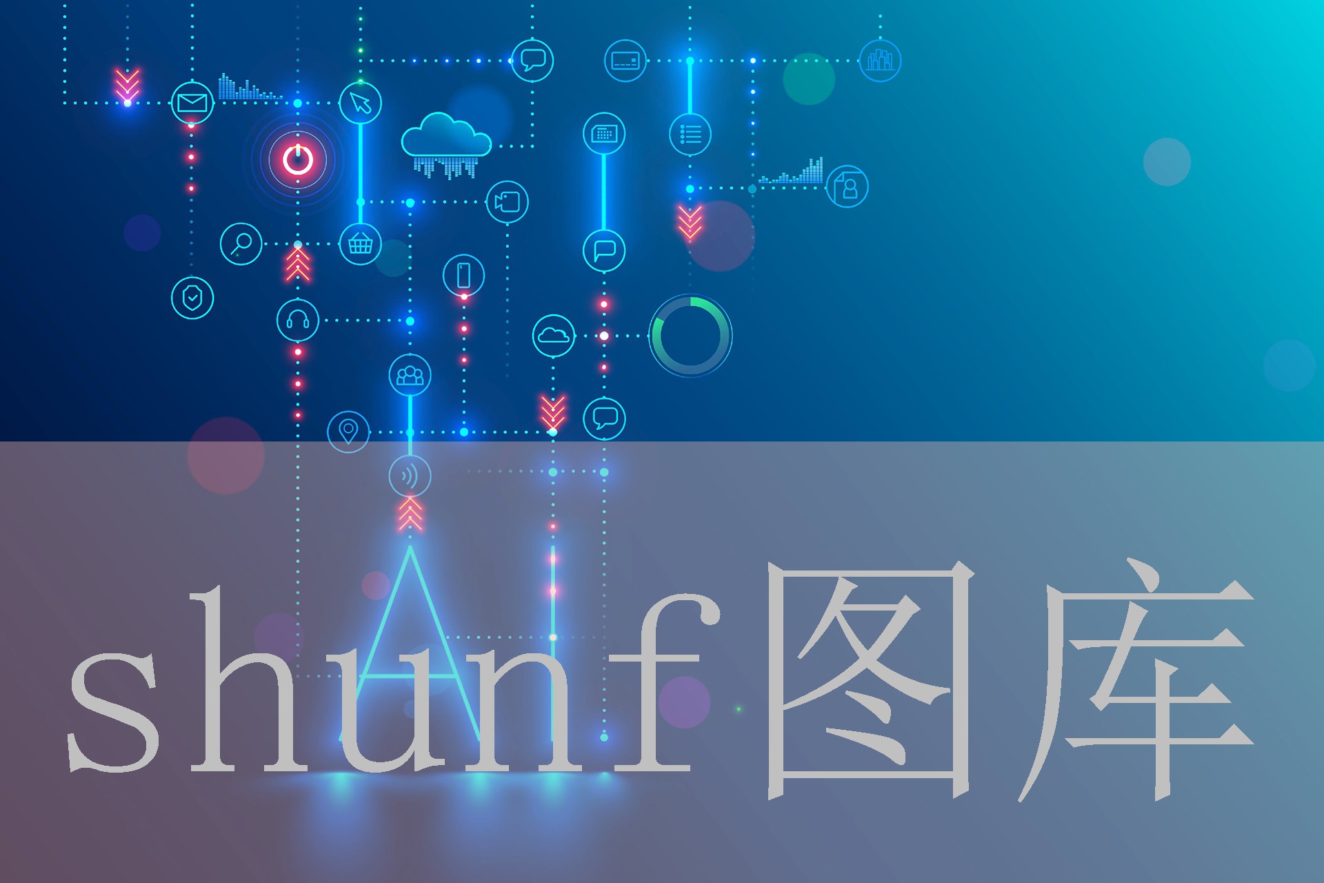 轻丹多少钱一包?