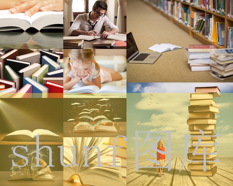 泰山宏冬多少钱一包?