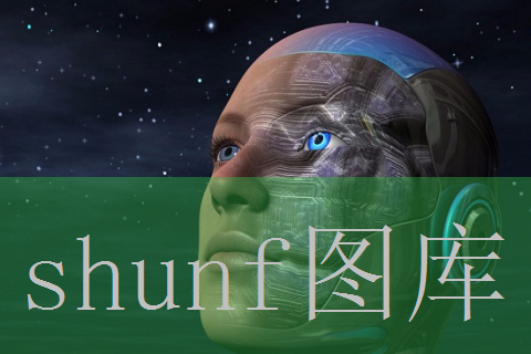 双汇玉米肠多少钱一包?