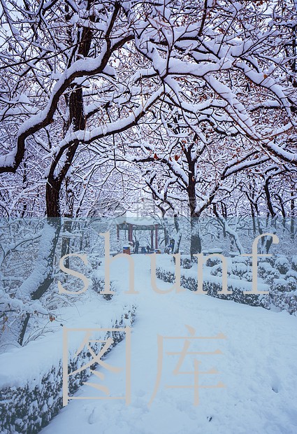 黄山荷花烟多少钱一包?