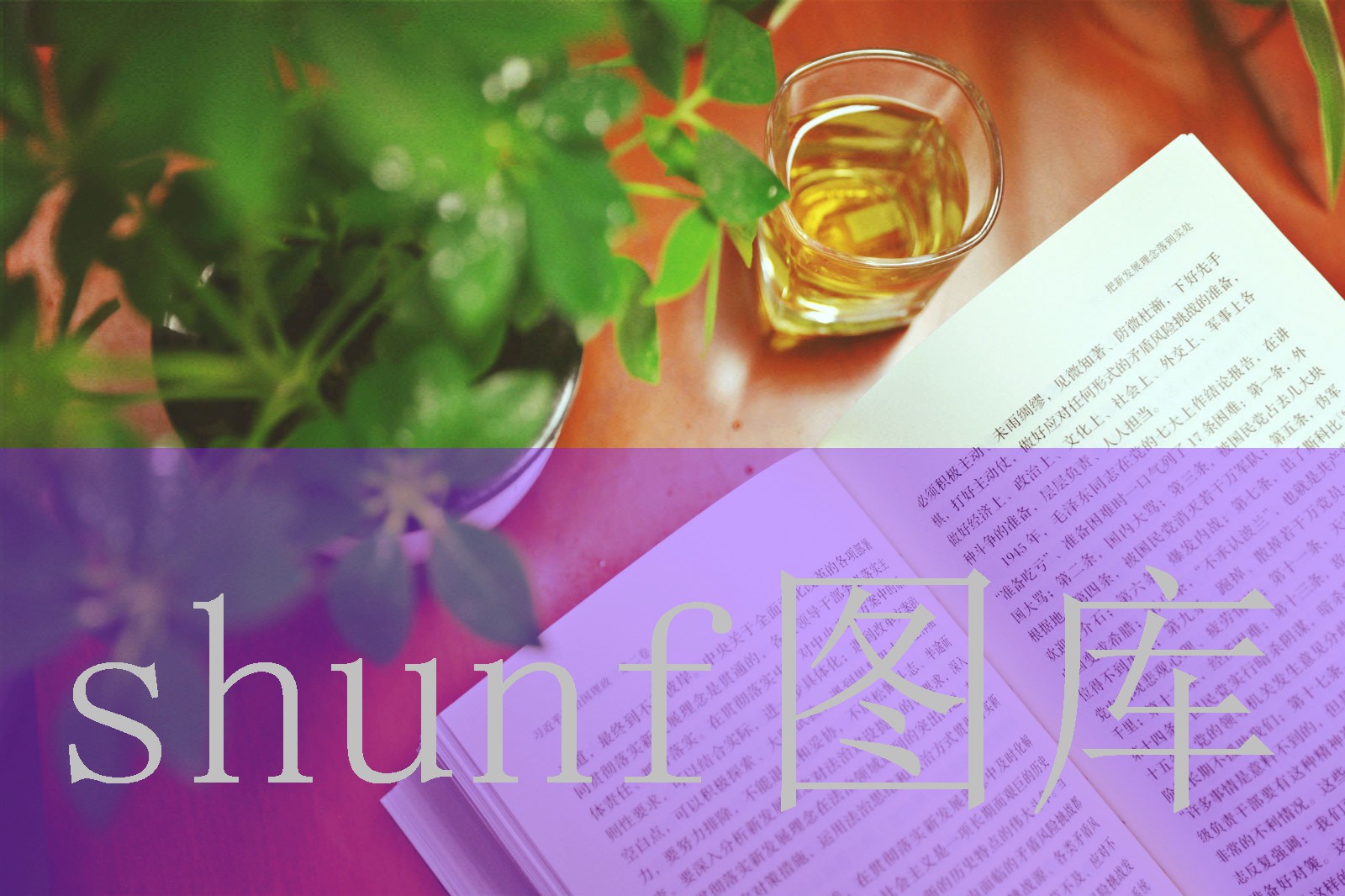 热狗肠拿货多少钱一包?