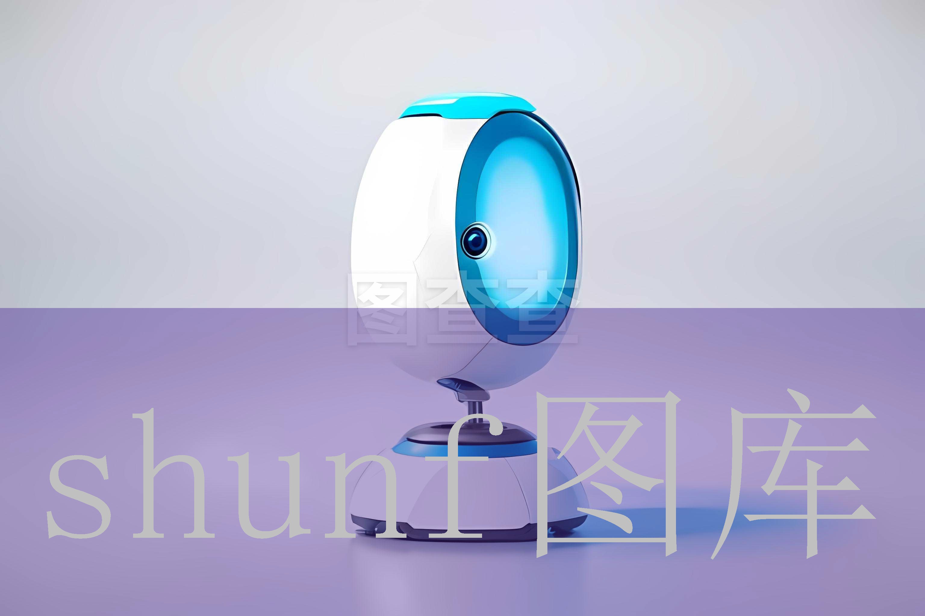 印度超市鱿鱼多少钱一包?