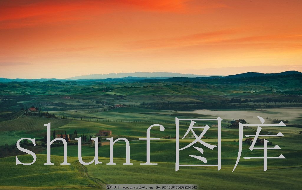 泰山领秀多少钱一包?