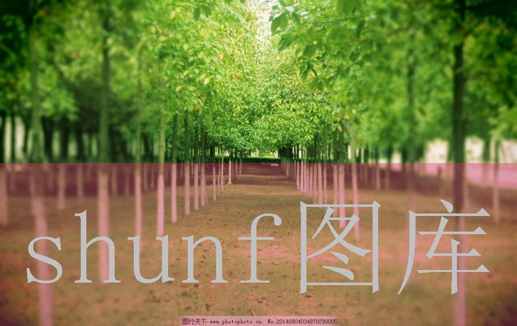 冰棍雪莲多少钱一包?