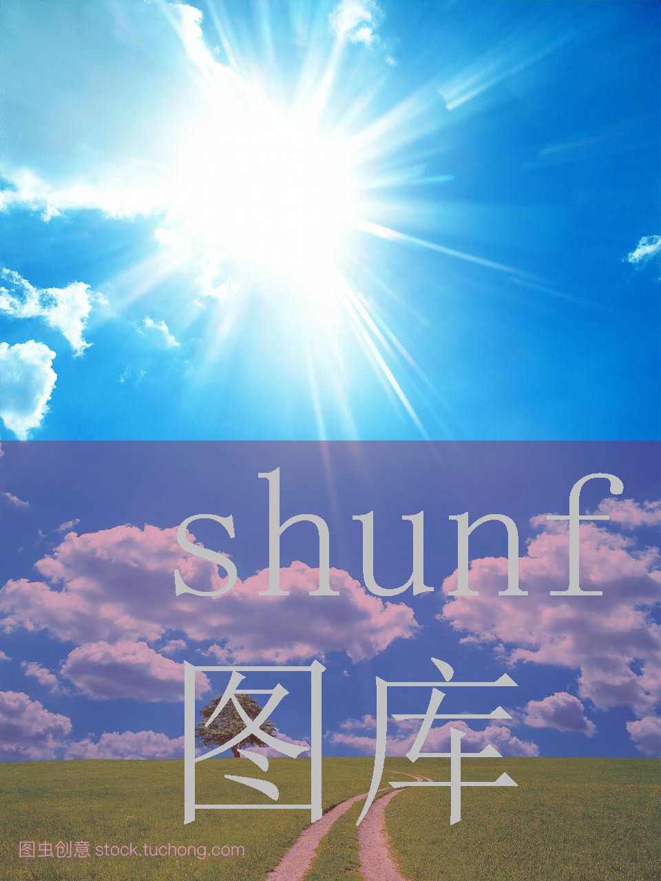 美女被抽插舔B到哭内射视频免费