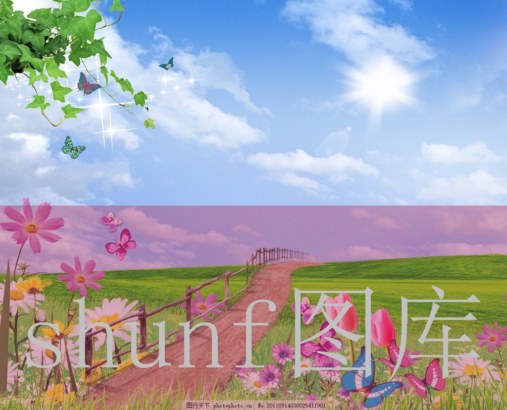 金沙彩苏多少钱一包?